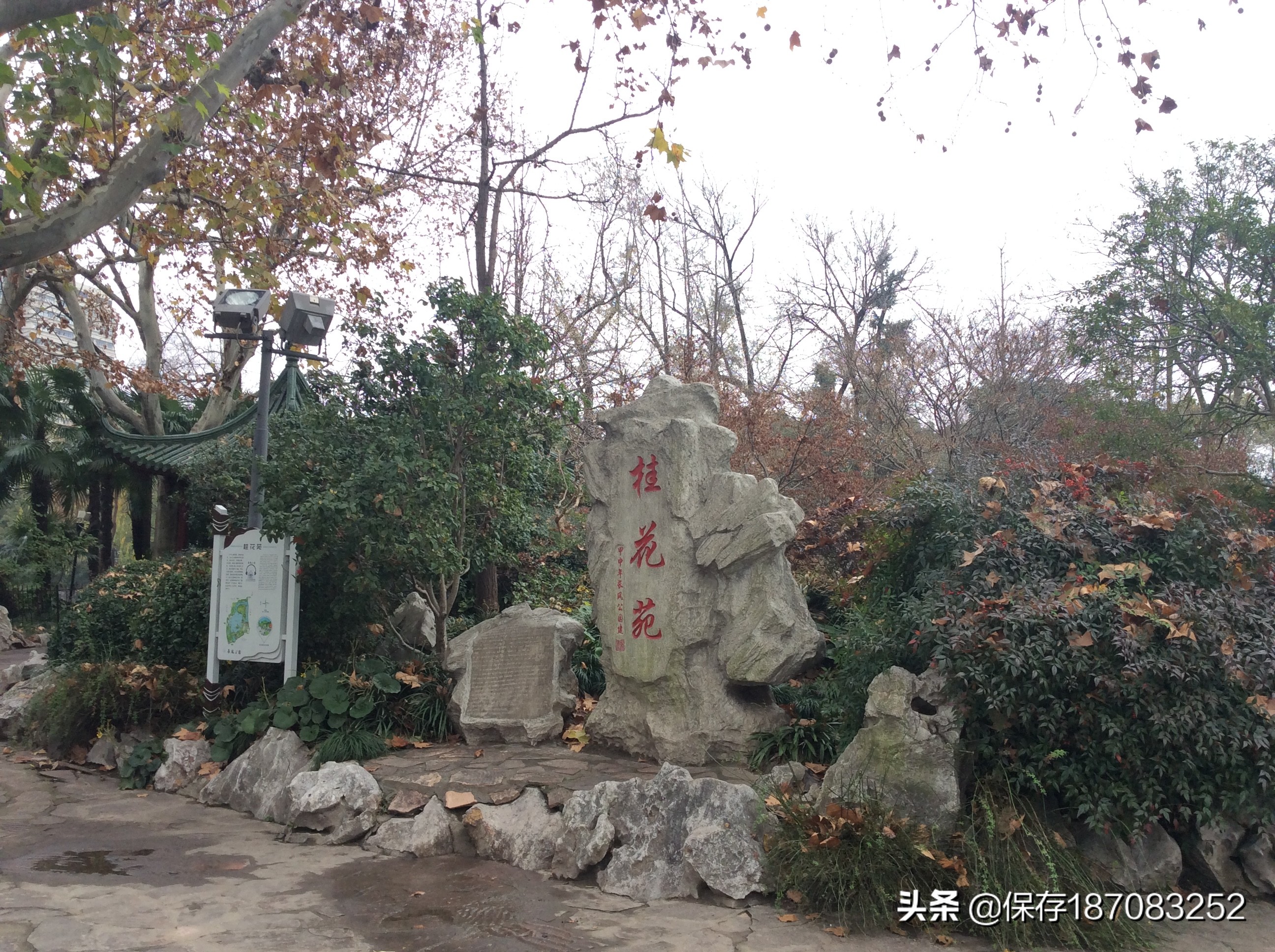 上海普陀山公园,普陀区长风公园在哪