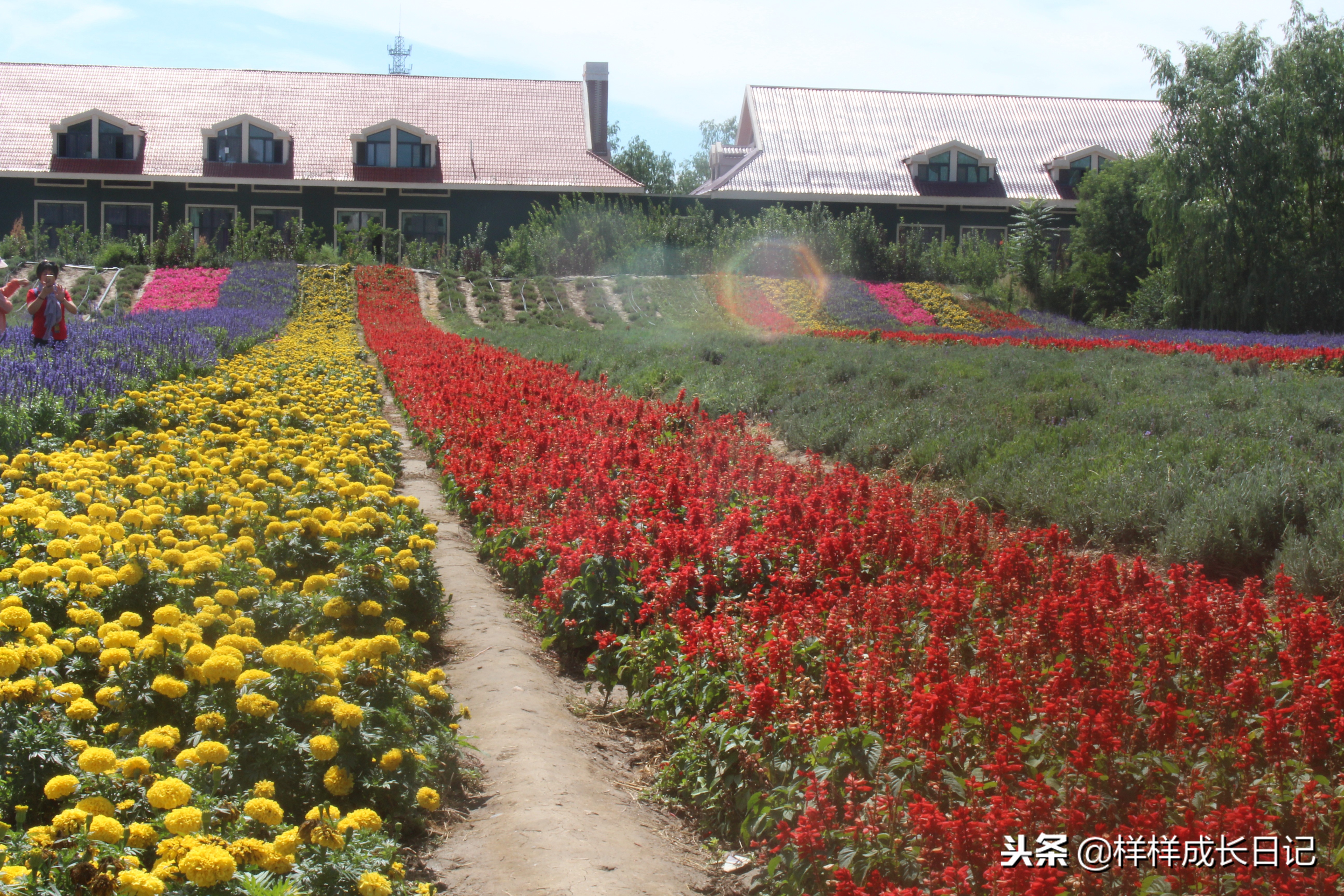 一家三口新疆伊犁旅游,自驾游霍尔果斯路线攻略