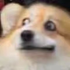 csgo枪皮肤有属性加成吗,csgoak贵皮肤