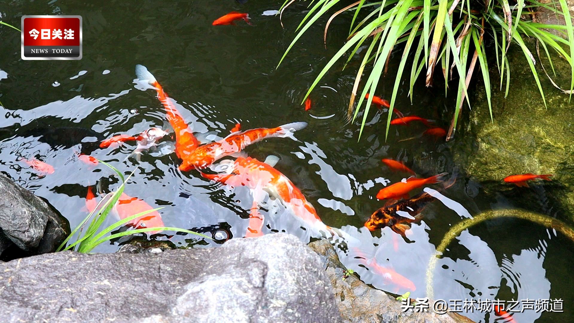 *今条头日**|小苏和潘潘带你逛金旺彩绘村系列（上集）