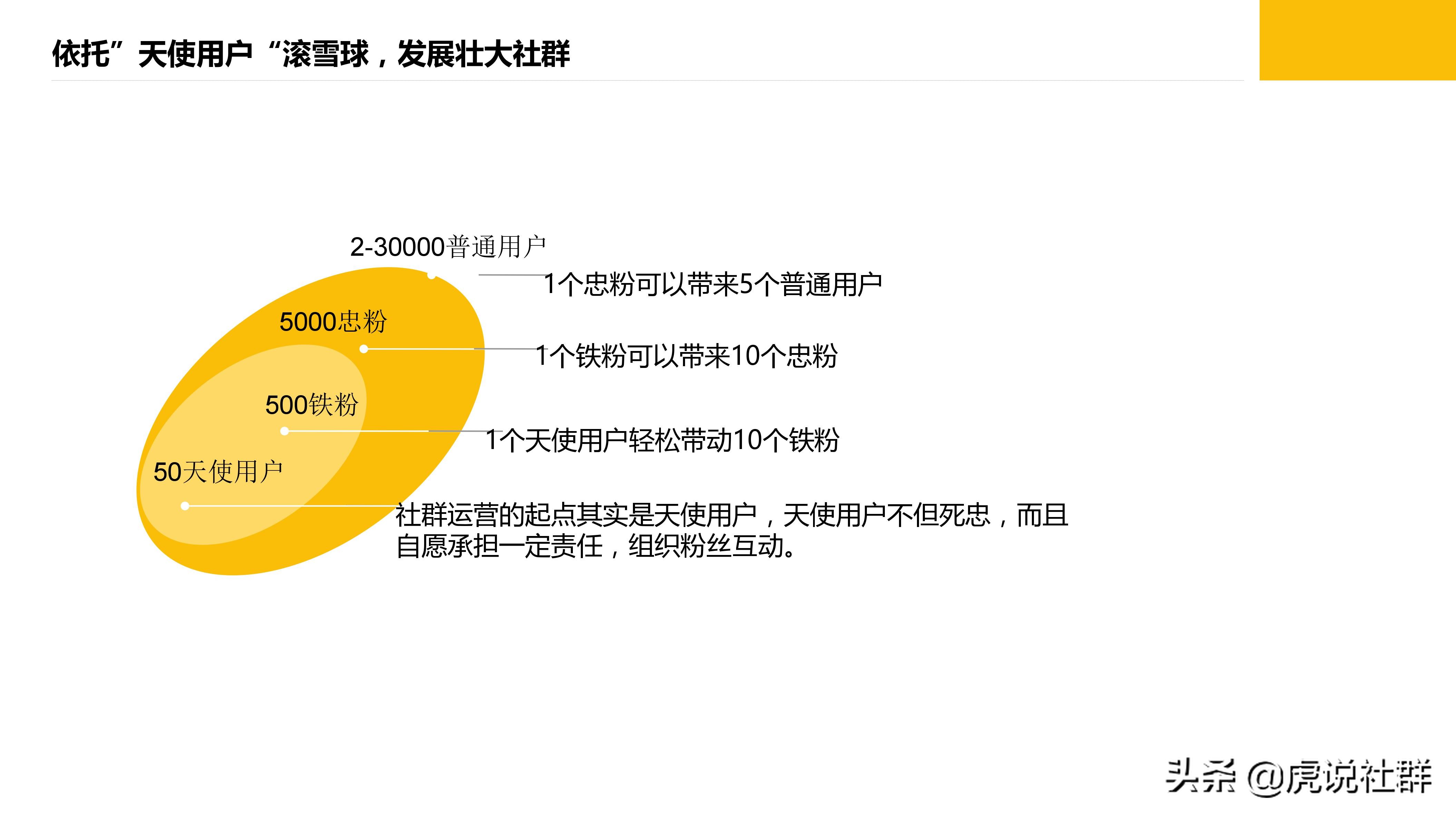 旅游项目策划方案价格,旅游项目策划团队