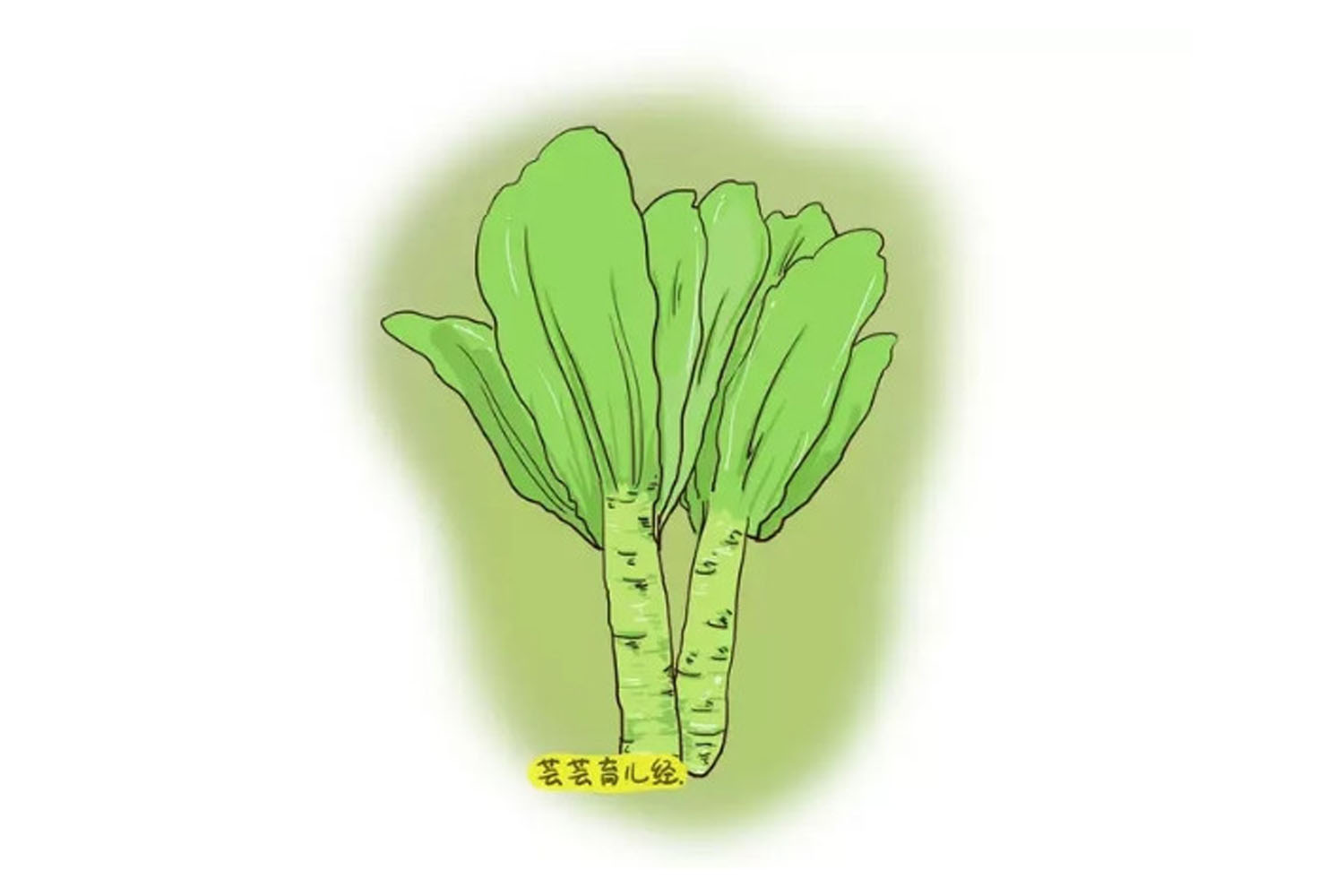 营养又美味产妇下奶汤,16款下奶汤建议妈妈们收藏