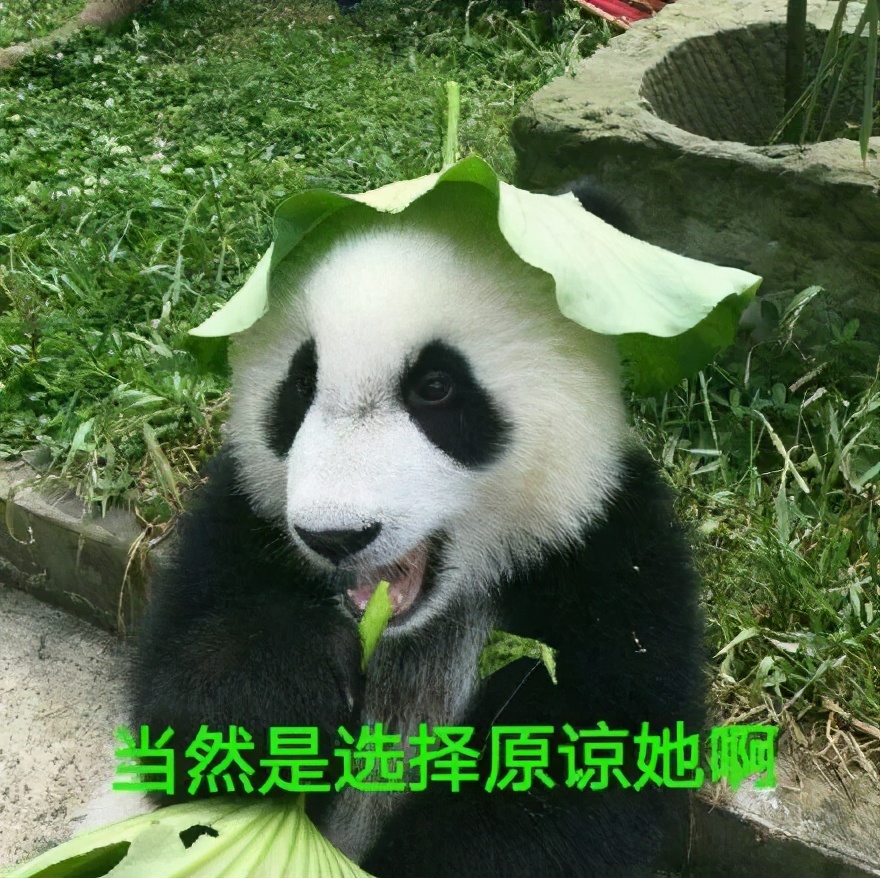 你在海里当海王，我在海底发绿光