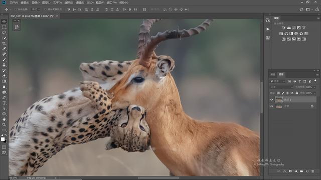 尼康d850完全摄影指南,尼康d850大变焦镜头推荐