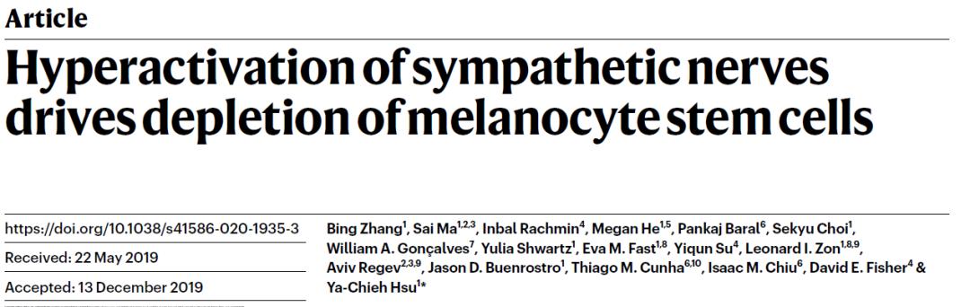 年轻人白发能变黑吗科学回答,哈佛研究长白发的人