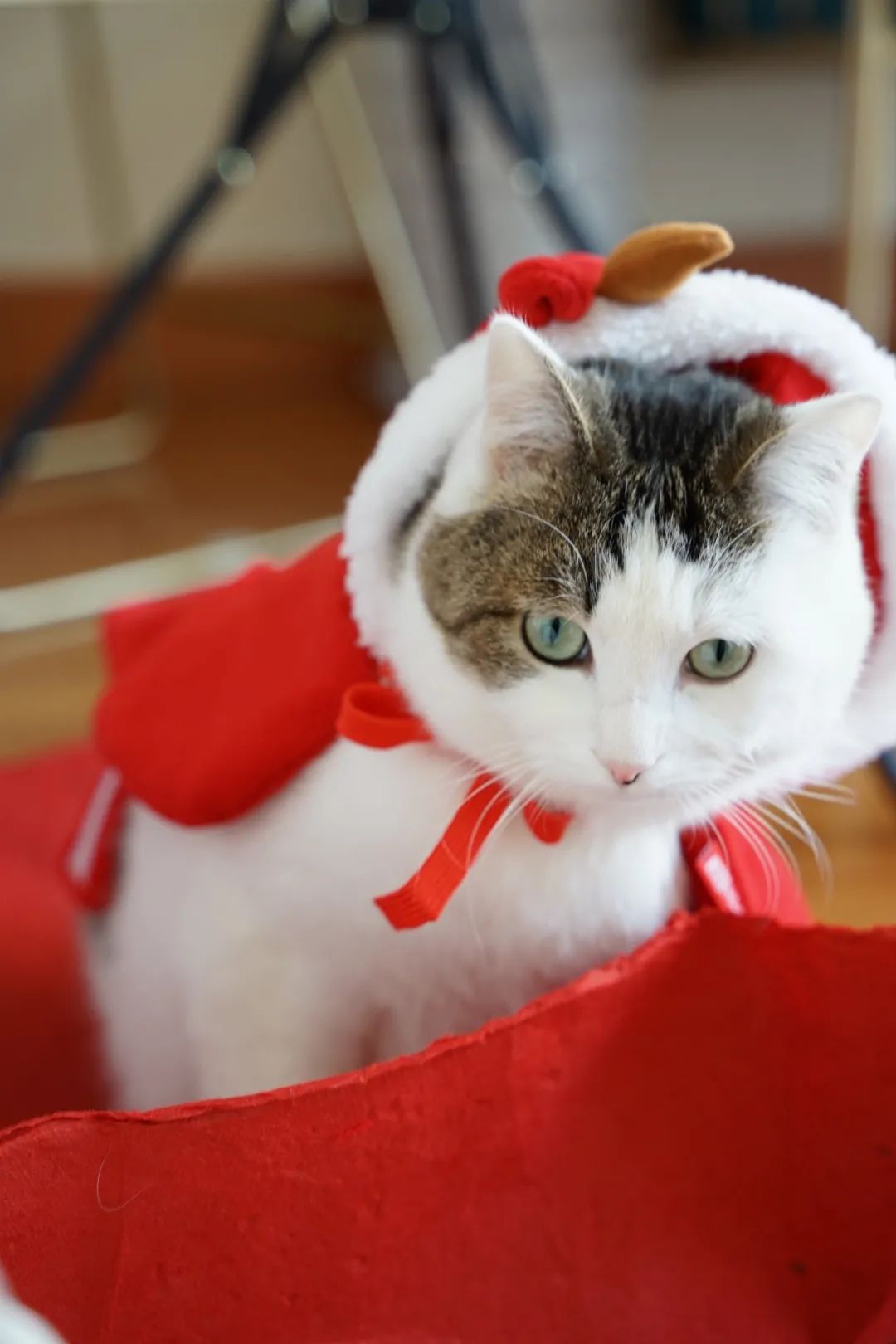 你的专属好物分享,你爱的好物分享