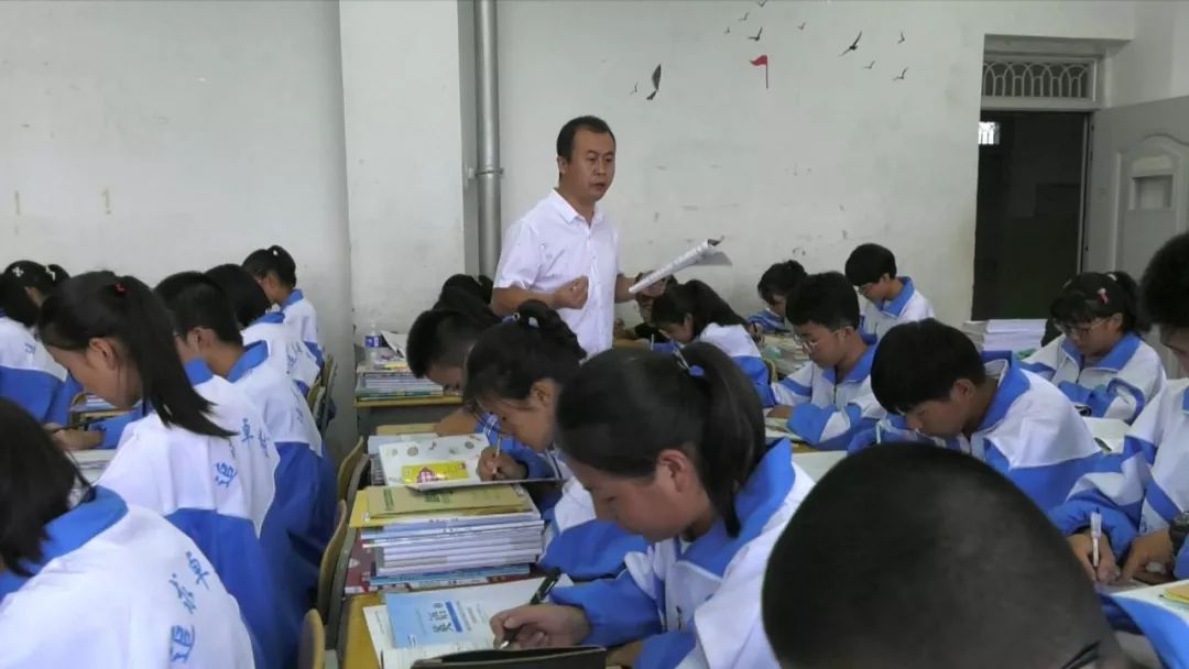 金鹏安教练,金鹏安老师