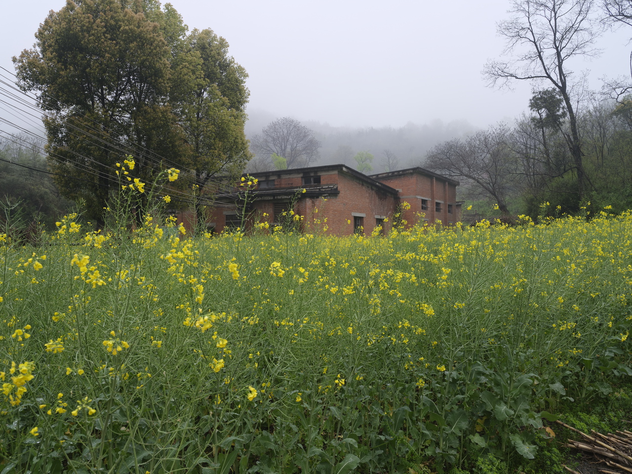 三线企业宏伟机械厂,三线企业宏伟机械厂老厂区视频