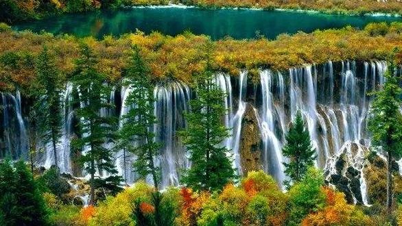 一周在线︱加快居家适老化改造；光明网评“身份证替代老年证”