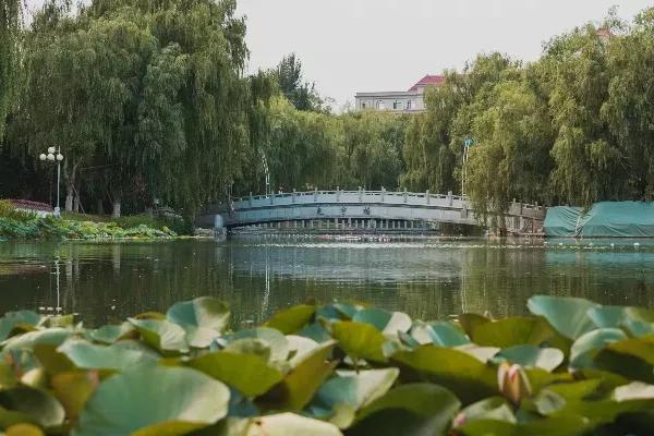 辽宁省普通高等院校(二十二)渤海大学