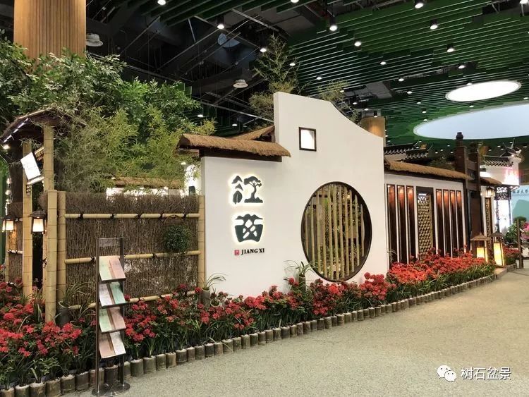 伟大使命复兴中国盆景艺术事业——2019中盆会大事回顾(下篇)