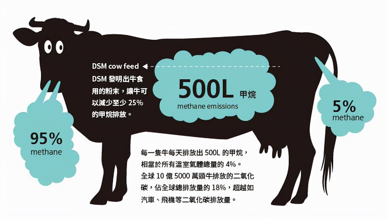 必须中国人来负责？西班牙最大潟湖污染：因为中国人爱吃猪肉