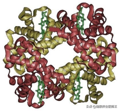肿瘤标志物筛查多少钱,肺肿瘤标志物有哪几项