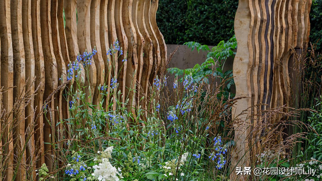 2023年切尔西花展各个花园的介绍,切尔西花展最佳花园