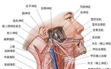 面神经炎和面瘫的区别,面神经炎吃什么药