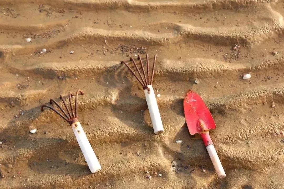 赶海吃各种爆辣的海鲜,好嗨哟赶海抓海鲜