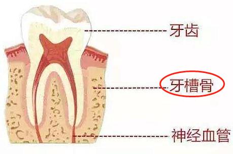 拔牙后经历的几个阶段,拔牙前的恐惧与拔牙后的舒适