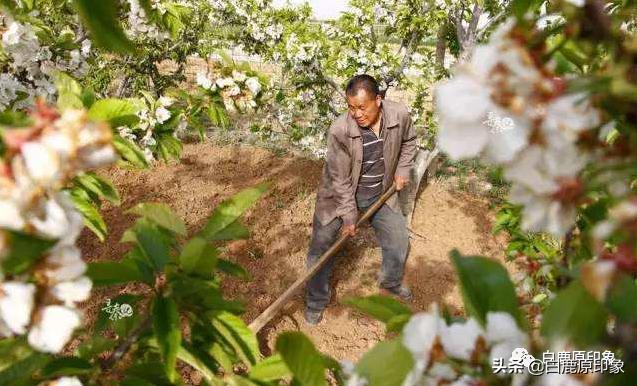 白鹿原中的风土人情,白鹿原上的生活记忆
