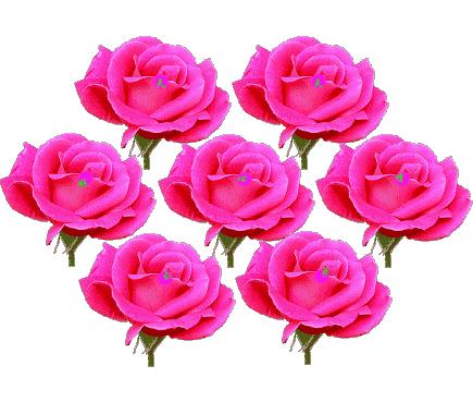 致老同学的年末感言,把最美好的祝福送给老同学