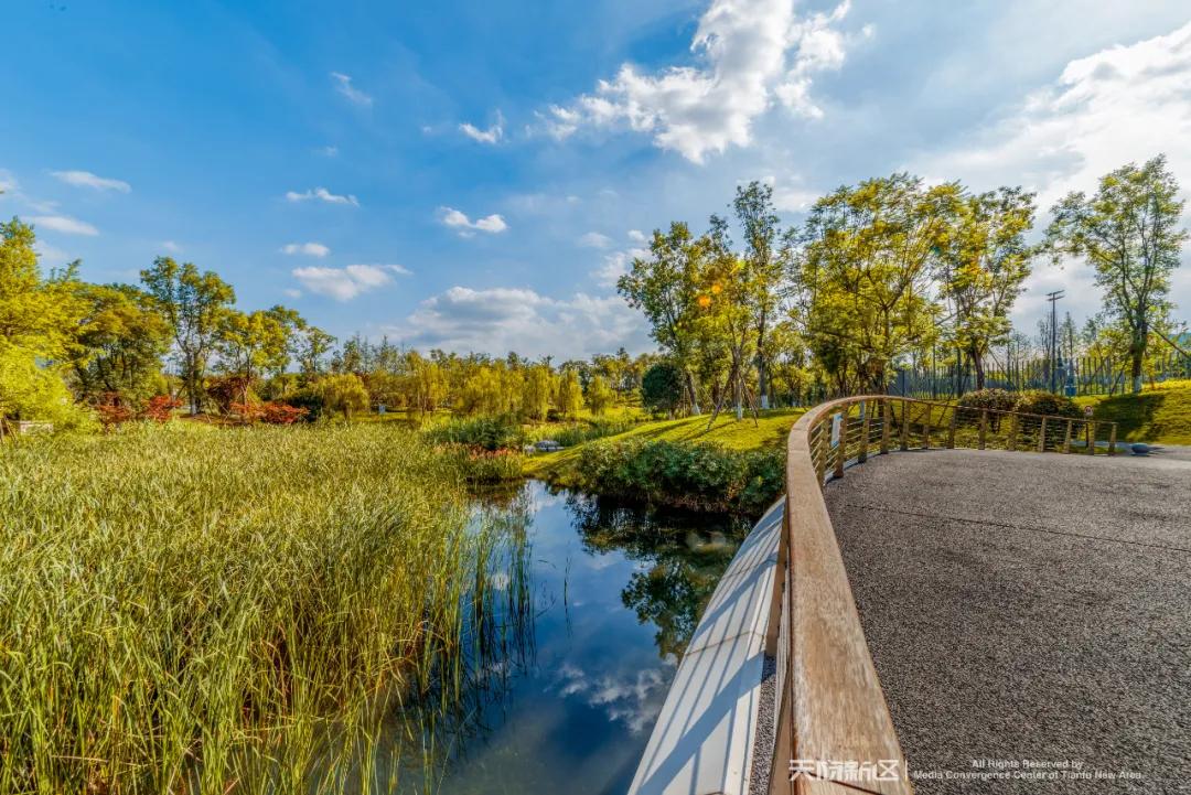 鏂板尯鍩庡競妫灄,鏂板尯涓囦憨妫灄浠嬬粛