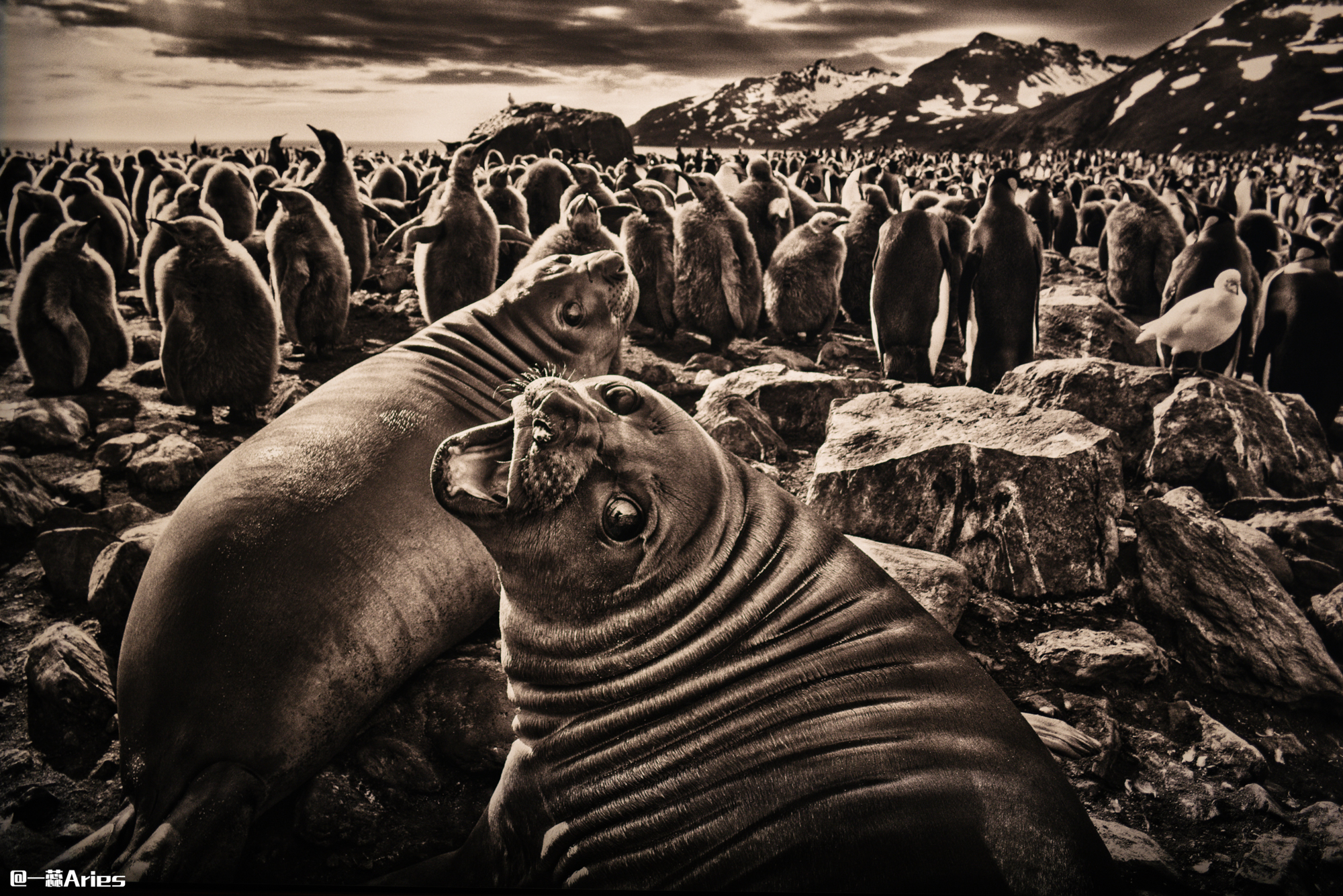 成都小众旅游地方推荐,成都小众景点推荐