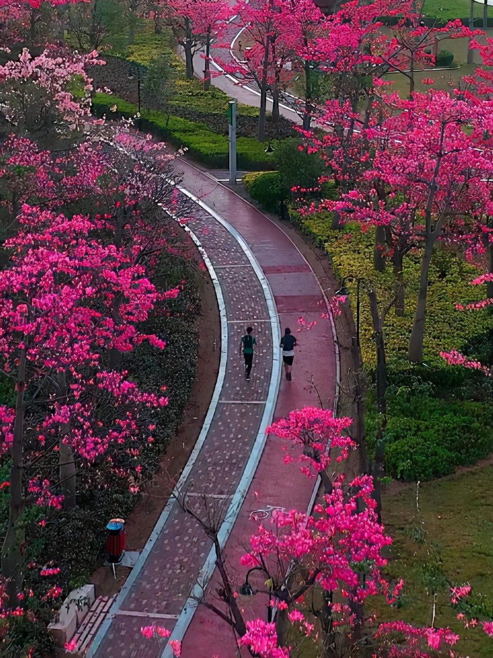 横琴旅游码头有哪些景点,横琴网红打卡旅游景点