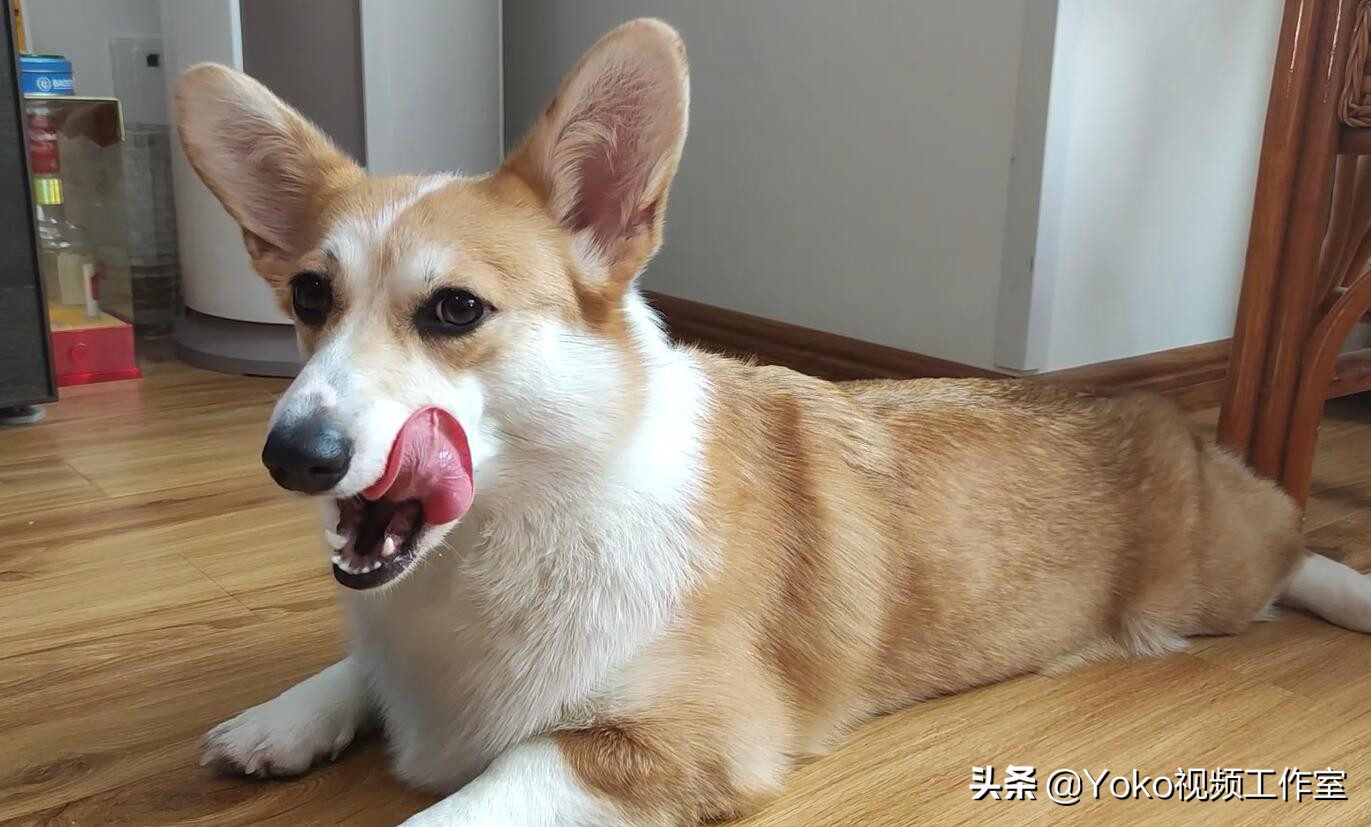 拯救者r7000升级win11更新方法,2020款拯救者r7000改进