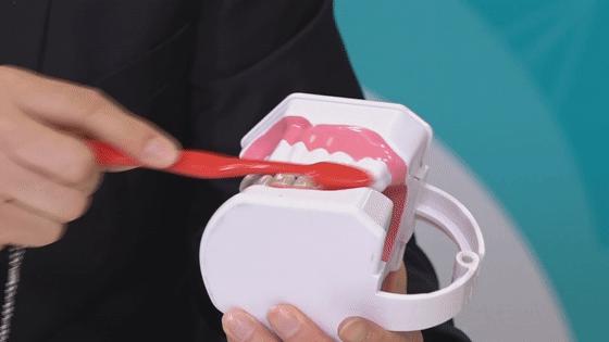 乳牙龋齿坚持刷牙能控制吗,乳牙龋坏四招教你预防