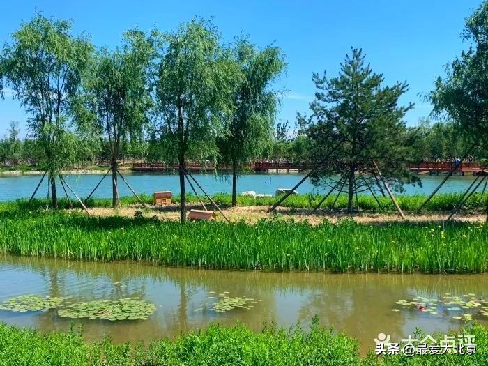 京城新增一“小江南”！免费人少