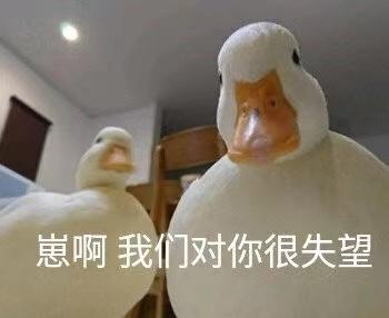 两千买波司登极寒,跟风买件波司登