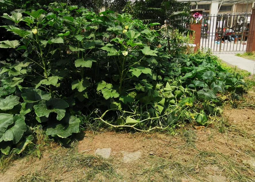 阜阳4大被物业拉胯的小区！房价只跌不涨，物业屡被吐槽