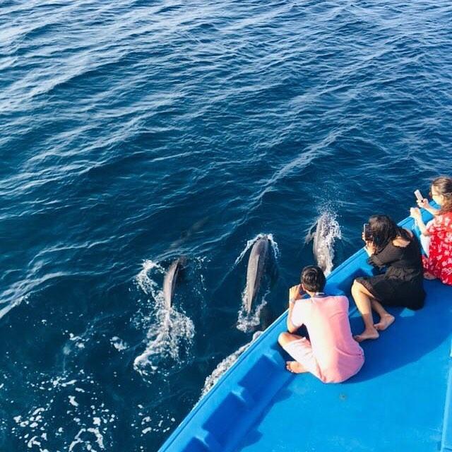 马尔代夫居民岛游玩攻略,马尔代夫居民岛选岛攻略