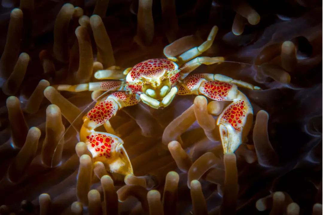 走过很多地方的诗句,走过很多地方原唱