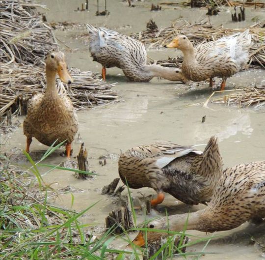 同为天涯客，何须吝千樽——打卡缙云怎么能少了你