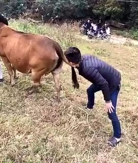 #净网2019#2019年十大*局骗**：教你赚钱、社群学习、伪区块链、人口红利