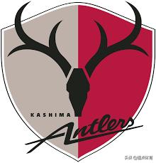 全球十大好的足球俱乐部,各国足球队豪门排名