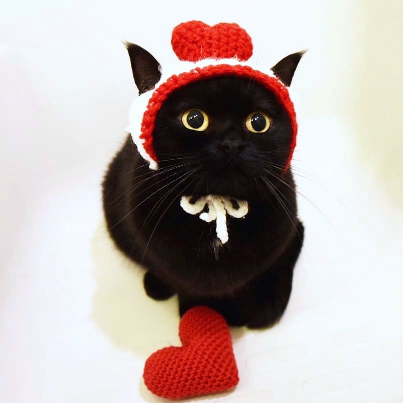 日本卡通小黑猫,日本动漫小黑猫