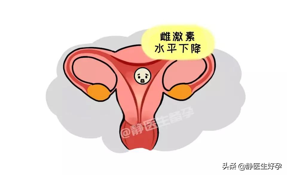 静医生备孕：到了排卵的日子，却来姨妈了！闹哪样？