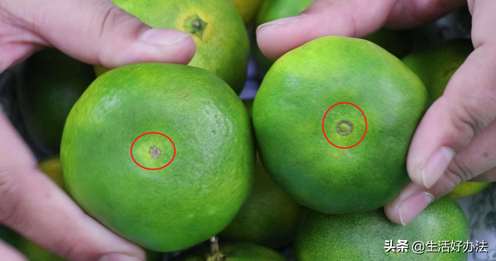 橘子怎么挑的才是甜的,橘子如何挑选酸甜