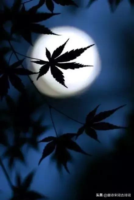 负你一生多少泪，月下花前