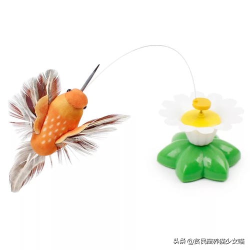 猫咪必备玩具排行榜,猫咪最爱的7款玩具