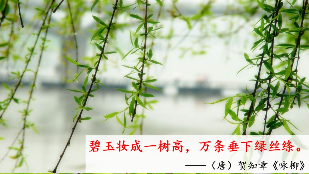 一年级语文下册春夏秋冬生字笔画,部编版一年级上册课文朗读完整版