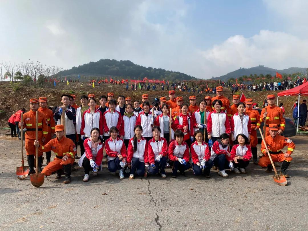 武汉植树高峰期,植树浪潮