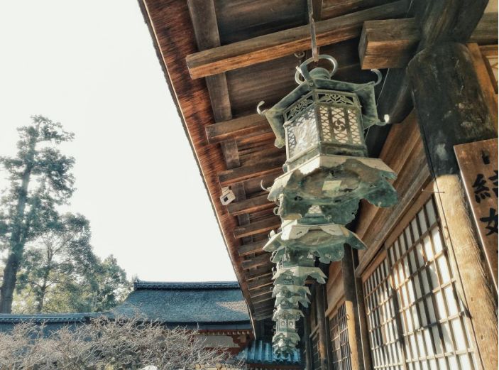 王思聪和李易峰关系有多好,王思聪和李易峰的区别