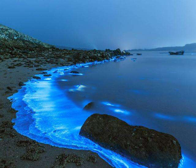 这个夏天一定要去花鸟岛,花鸟岛旅游攻略海边