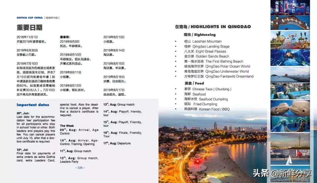 哥德杯世界青少年足球赛,国际青少年足球大赛在哪里举办