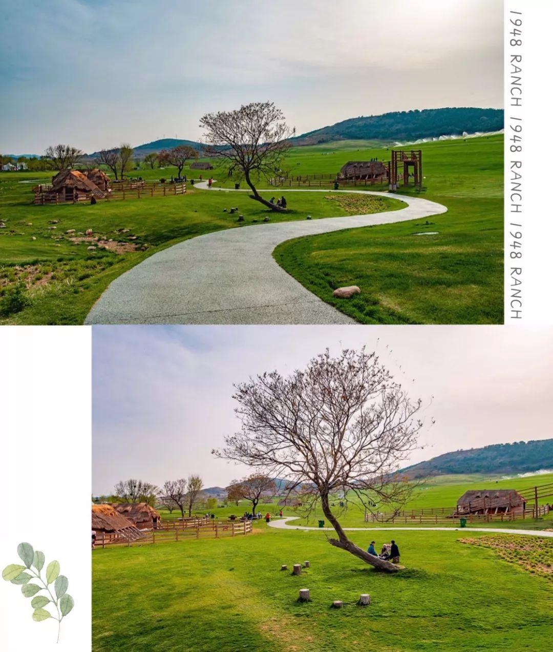 隐匿于大连的这片清澈之地，看的是蓝天白云，呼吸的是草木芬芳