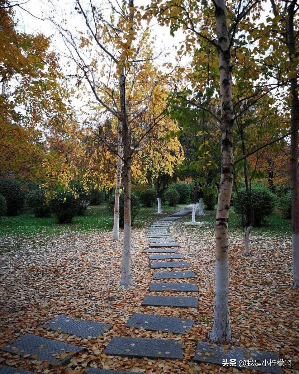 长春职业技术学院院长,长春职业技术学院伤人事件