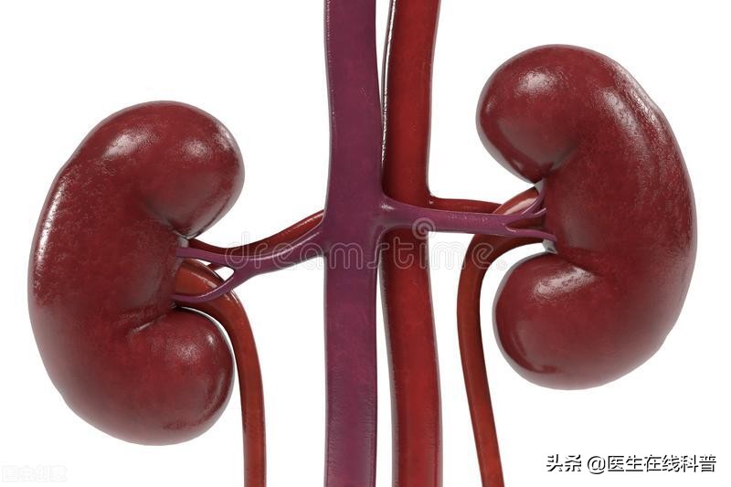 慢性肾炎治疗2年起色不大,慢性肾炎用中医治还是西医比较好