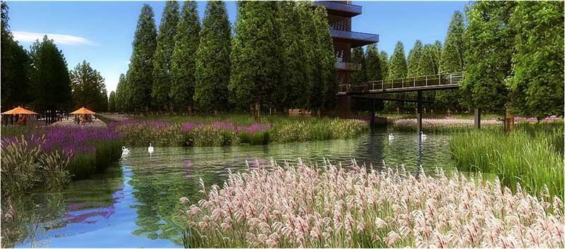 淮南湿地风光视频,淮南公园景点大全